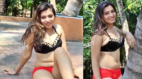Tamannaah Posing her Hot Body in Bra & Panty Fake